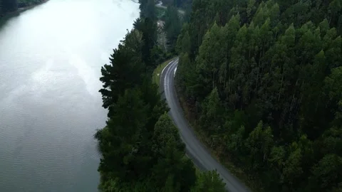 Scenic Road in Pine Forest by the River Stock Footage 279019674