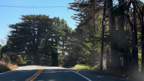 Scenic Road Surrounded by Trees Stock Footage 293742843