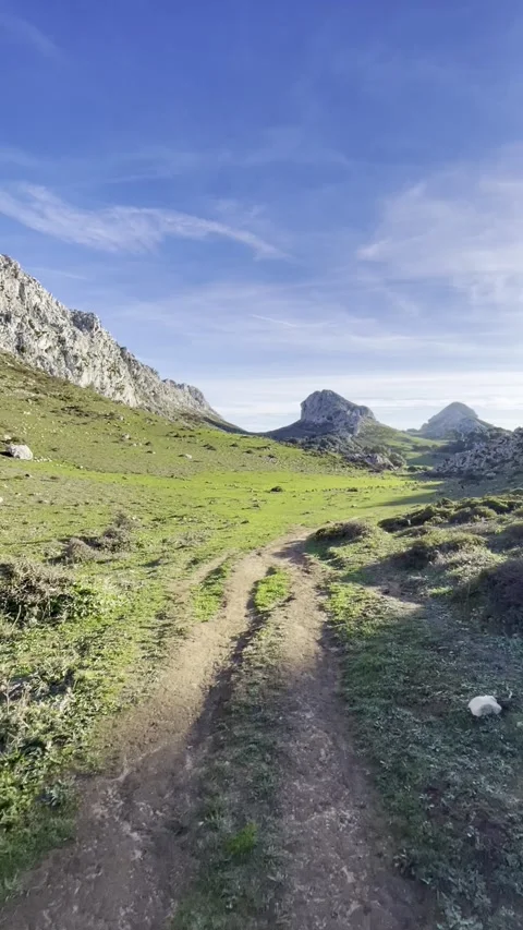 Scenic road through a forest Stock Footage 325767830