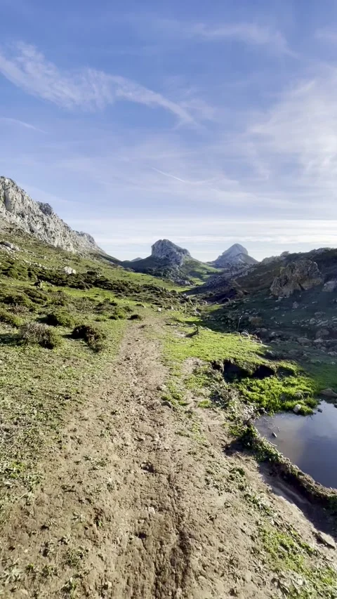 Scenic road through a forest Stock Footage 325767835