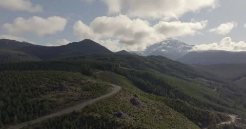 Scenic Road Through Mountainous Forest with Mount Rainier Stock Footage 289161271
