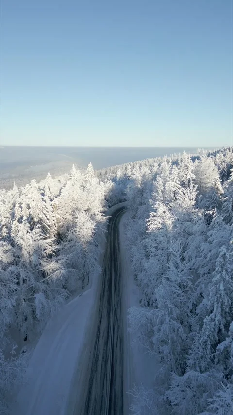 Scenic road through a snowy winter mountain forest on sunny day Stock Footage 256131853