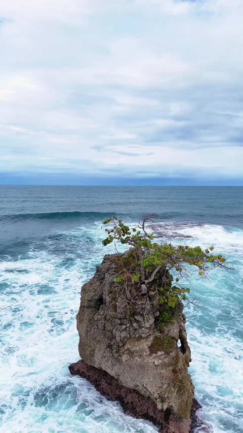 Scenic rock formation with tree in the caribbean sea 스톡 동영상 339516374