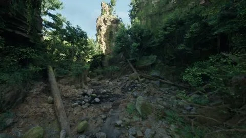 A scenic rocky path through the Australian woods. mountain path イラスト素材