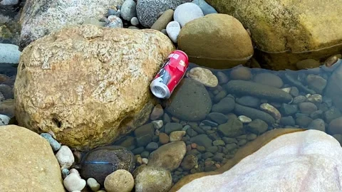 Scenic rocky river polluted by floating soda can. environment pollution Vídeo Stock 333350311