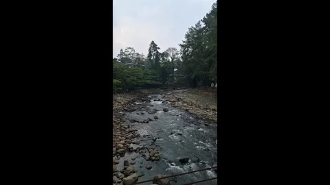 Scenic Rocky River Stream Flowing Through Lush Forest Stock Footage 339622986