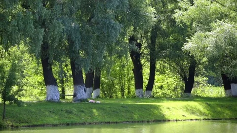 Scenic route along the river Stock Footage 72860165