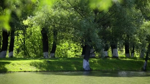 Scenic route along the river Stock Footage 72860168