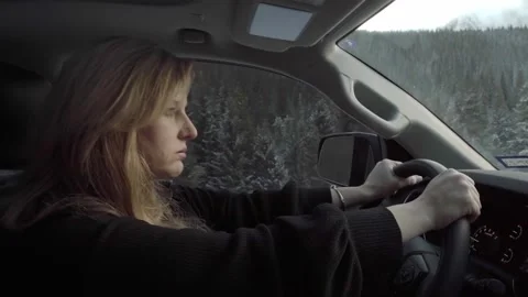 The Scenic Route Stock Footage 248339256