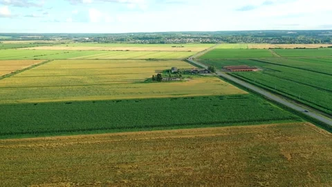 Scenic rows of agricultural fields on a summer farm in the evening Video stock 164156783