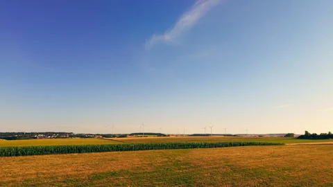 Scenic Rural Landscape with Corn Fields, Agricultural Land, and Wind Turbines Vidéo 347239938