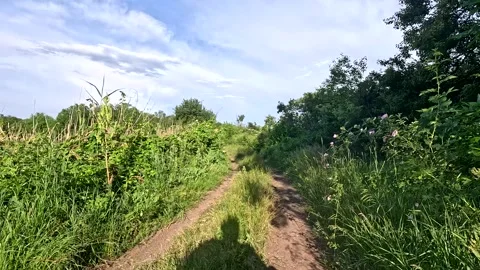 Scenic rural landscape under blue sky on summer day. Stock Footage 337203853