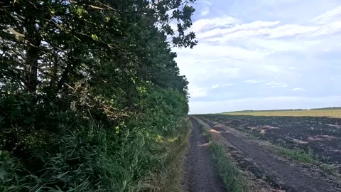 Scenic rural pathway on summer day. Stock Footage 337204004