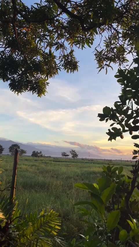 Scenic Rural Sunset Over Mountain and Fields Video stock 341317249