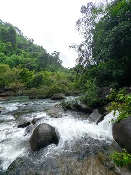 Scenic Rushing River Flowing Through Lush Green Jungle and Boulders in Sout.. Stock Photos