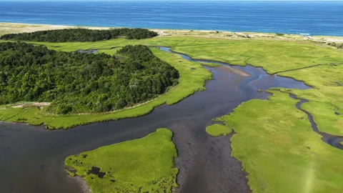 A Scenic Salt Marsh Grows to the Edge of the Atlantic Ocean in Cape Cod, MA Stock Footage 340593330