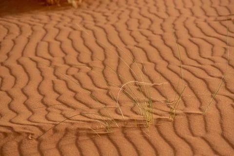 Scenic sand pattern on a desert's dune, drawn from the wind Stock Photos
