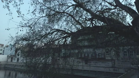 A Scenic shot of a tree in a bit of haunted touch Stock Footage 151777922