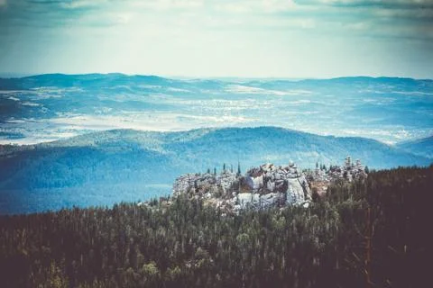 Scenic sight of giant mountains and spruce forest at summer Stock Photos