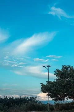 Scenic Sky View with Clouds and Tree 스톡 사진