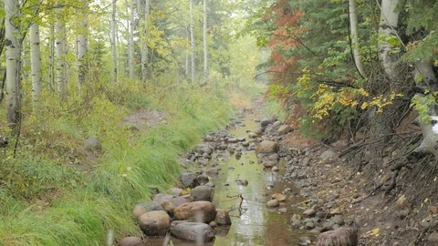 Scenic snow falling over a mountain stream with fall colors. Stock Footage 81086633