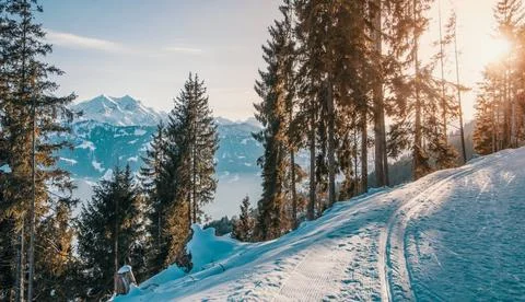 Scenic Snowy Mountain Path with Pine Trees at Sunrise Stock Photos
