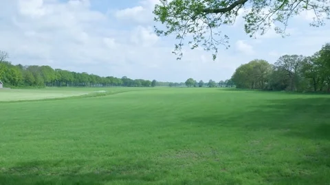 Scenic spring landscape with green meadow and trees 库存影片 336845330