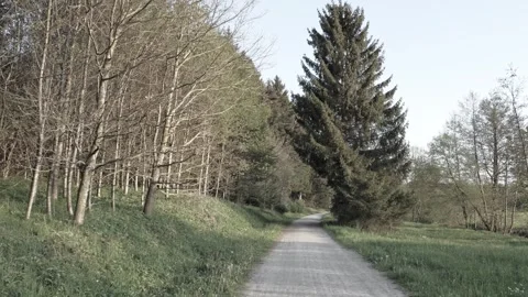 Scenic Spring Path Through Bavarias Countryside with Fresh Grass, Trees with Stock Footage 309040466