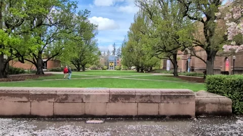 Scenic spring quad video at University of Oregon Stock Footage 344335703