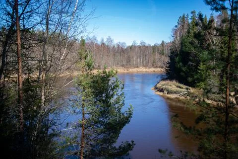 Scenic spring river view in forest with green foliage tree leaf and low water Stock Photos