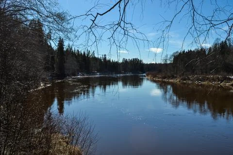 Scenic spring river view in forest with foliage tree leaf and low water Stock Photos