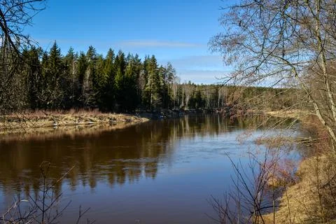 Scenic spring river view in forest with foliage tree leaf and low water Stock Photos