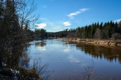 Scenic spring river view in forest with foliage tree leaf and low water Stock Photos