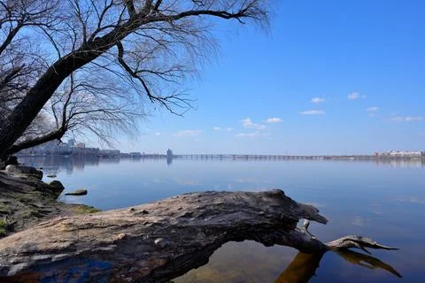 Scenic Spring View of the Dnipro River with a Fallen Tree and Cityscape Stock Photos