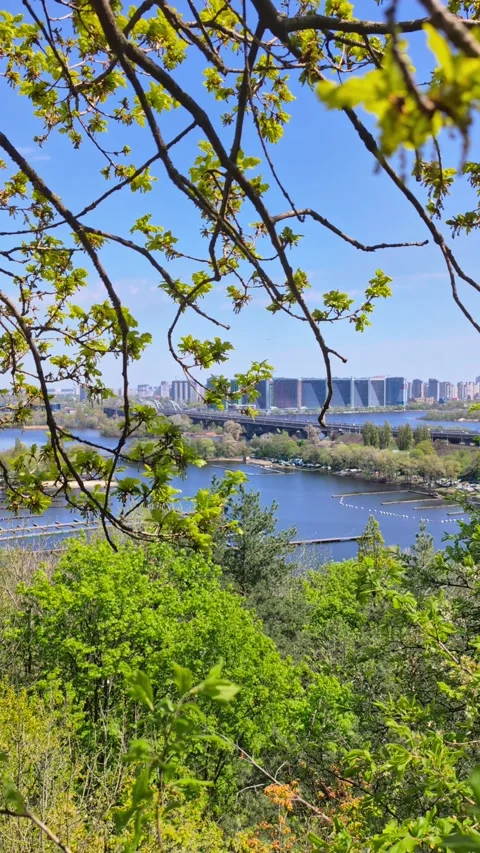 Scenic Spring View Of Kyiv City Panorama And Dnieper River Through Tree Bra.. Video stock 344309996