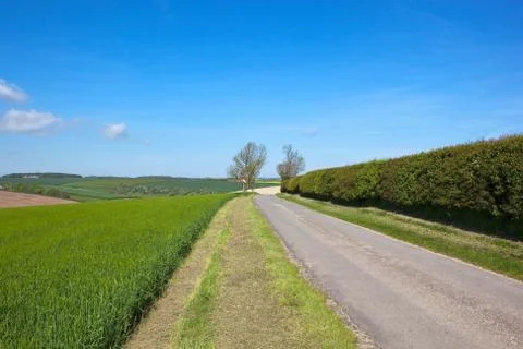 Scenic springtime landscape Stock Photos
