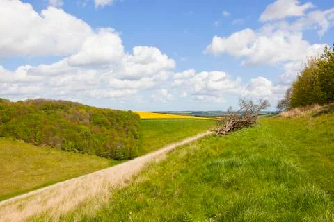Scenic springtime landscape Stock Photos