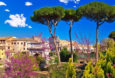 Scenic springtime panoramic view over the ruins of the Roman Forum and Coloss Stock Photos