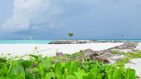 Scenic static landscape panoramic view of tropical beach landscape with gre.. Stock Footage 278173081