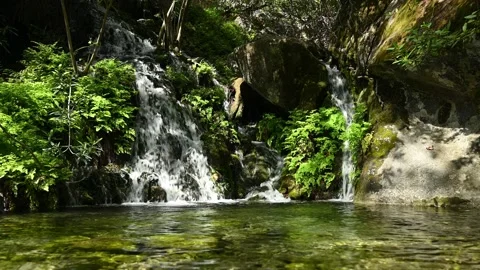 Scenic static shot of spring creeks in forest. Waterfall among green Видео 238644925