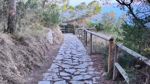 A Scenic Stone Pathway runs elegantly along the Coastline, adorned with Lush Stock Photos