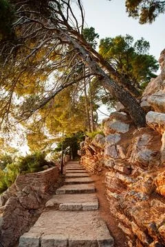 Scenic Stone Pathway Through Forested Terrain Stock Photos