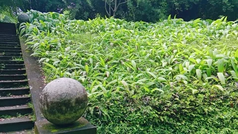 Scenic stone steps and lush green foliage along a pathway in nature Stock Footage 346273283
