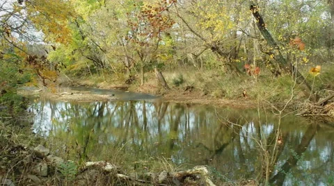 Scenic Stream in Autumn Stock Footage 43911461