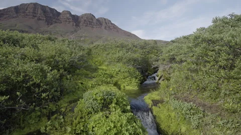 Scenic Stream Flowing at Disko Island Stock Footage 292941786