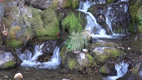 Scenic Stream Flowing over Moss Covered Rocks 库存影片 115985916
