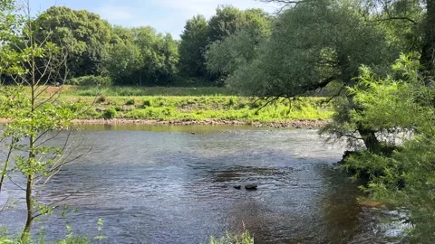 Scenic summer view of the flowing Ems river in Rheine, Germany, framed by l.. Stock Footage 340071395