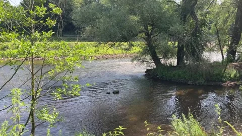 Scenic summer view of the flowing Ems river in Rheine, Germany, framed by l.. Stock Footage 340071468
