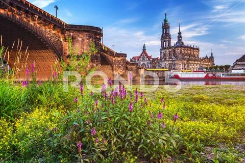 Scenic summer view of the Old Town architecture with Elbe river embankment in Stock Photos