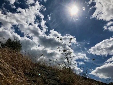 Scenic sunlight view from ground perspective  Stock Photos